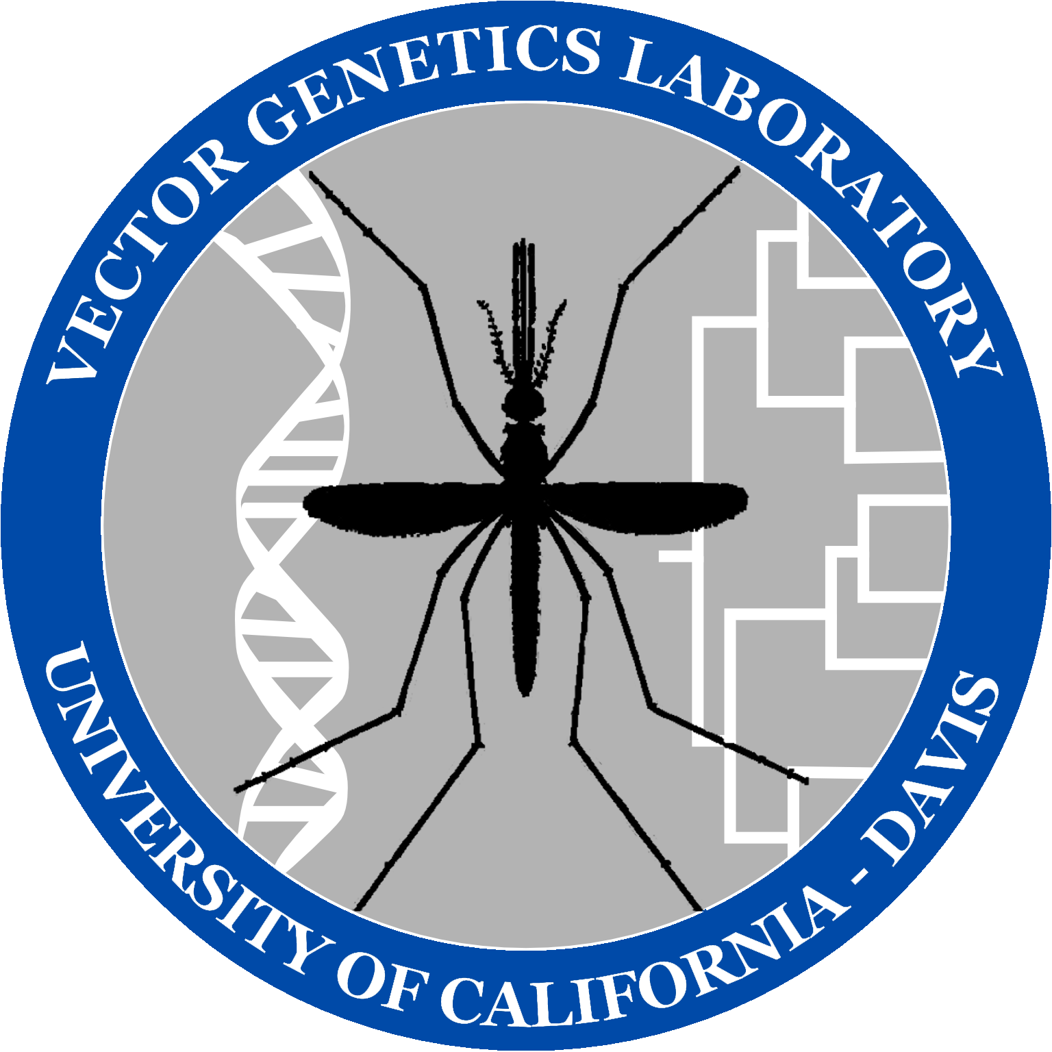 Vector Genetics Laboratory 