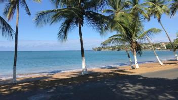 The beach