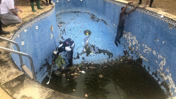 Collecting mosquitoes from an empty pool in São Tomé