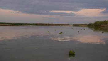 Evening on the water