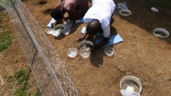 Recording data for the microcosm experiments
