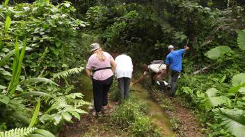 Collecting larvae