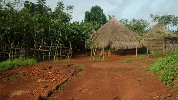 Straw roof huts