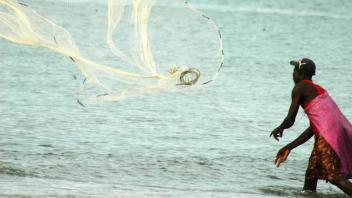 Fisherman throwing a net in the water