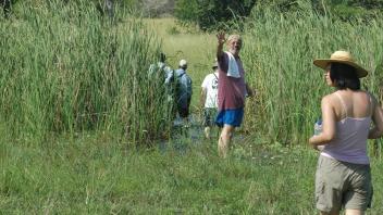 Crossing the stream