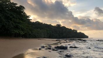 A beach at sunset with a tree covered hill in the distance