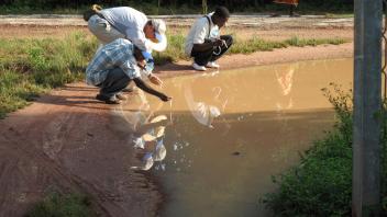 Collecting larvae from site near hospital, on Bubaque