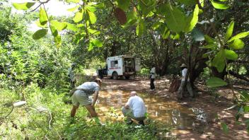 Collecting larvae with trusty ambulance in background.