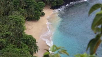 Aerial view of secluded tropical beach, golden sand, turquoise water, lush green foliage