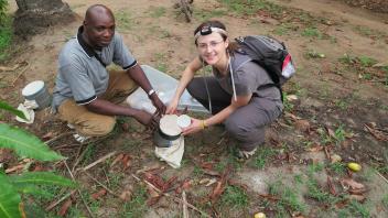 Transferring aspirated mosquitoes to a larger container