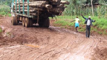 Logging truck on a mud road