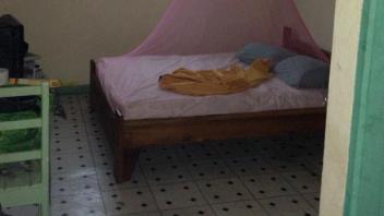 Bed net