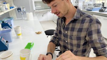 Man in plaid shirt handling pipette over white lab bench