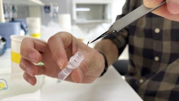 Hands in a lab using tweezers to place material into a clear microcentrifuge tube