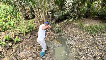Person in white tank top and blue boots stirring a muddy puddle with a stick by palm trees