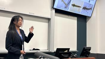 An undergraduate presents a powerpoint presentation from the front of a classroom.
