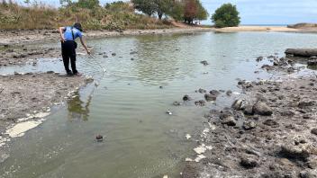 Two people at a shallow, muddy shoreline with greenish water and distant trees