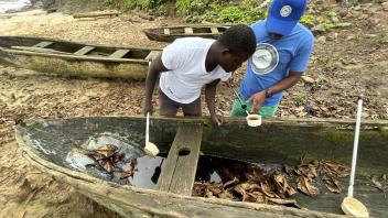 Adult and child inspecting a weathered dugout canoe on a leafy riverbank, paddles nearby.