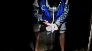 Collecting mosquitoes 