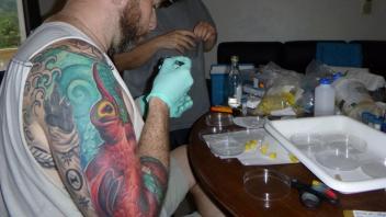 sorting samples