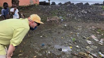 Robert collecting larvae