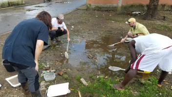 Collecting larvae