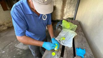 Anton preparing the dust for the mosquitoes