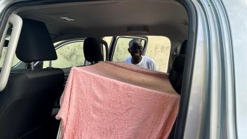 Transporting mosquitoes