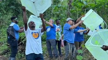 Releasing marked mosquitoes for the October MRR in the Agua Grande district of São Tomé
