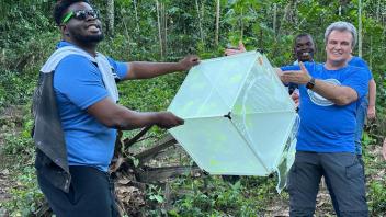 Releasing marked mosquitoes for the October MRR in the Agua Grande district of São Tomé