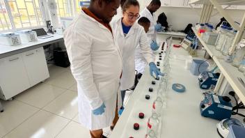 People work in a lab carrying out an assay with glass bottles