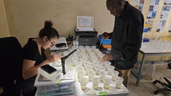 A woman sits at a desk examining a small dish. The remainder of the desk is filled with cups which a man examines from the other side of the table.