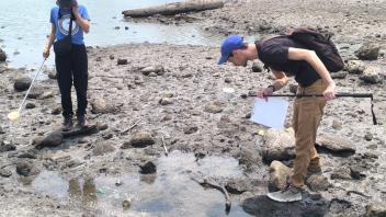 Two researchers sampling a muddy shoreline with shallow tidal pools and a pier