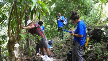 Researchers in blue shirts surveying a lush green forest stream, taking notes and photos