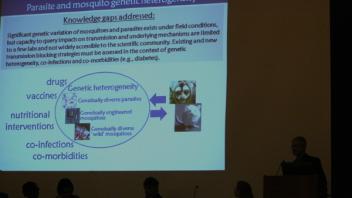 photo of powerpoint presentation