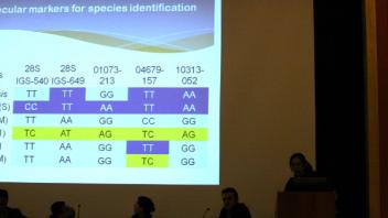 photo of powerpoint presentation