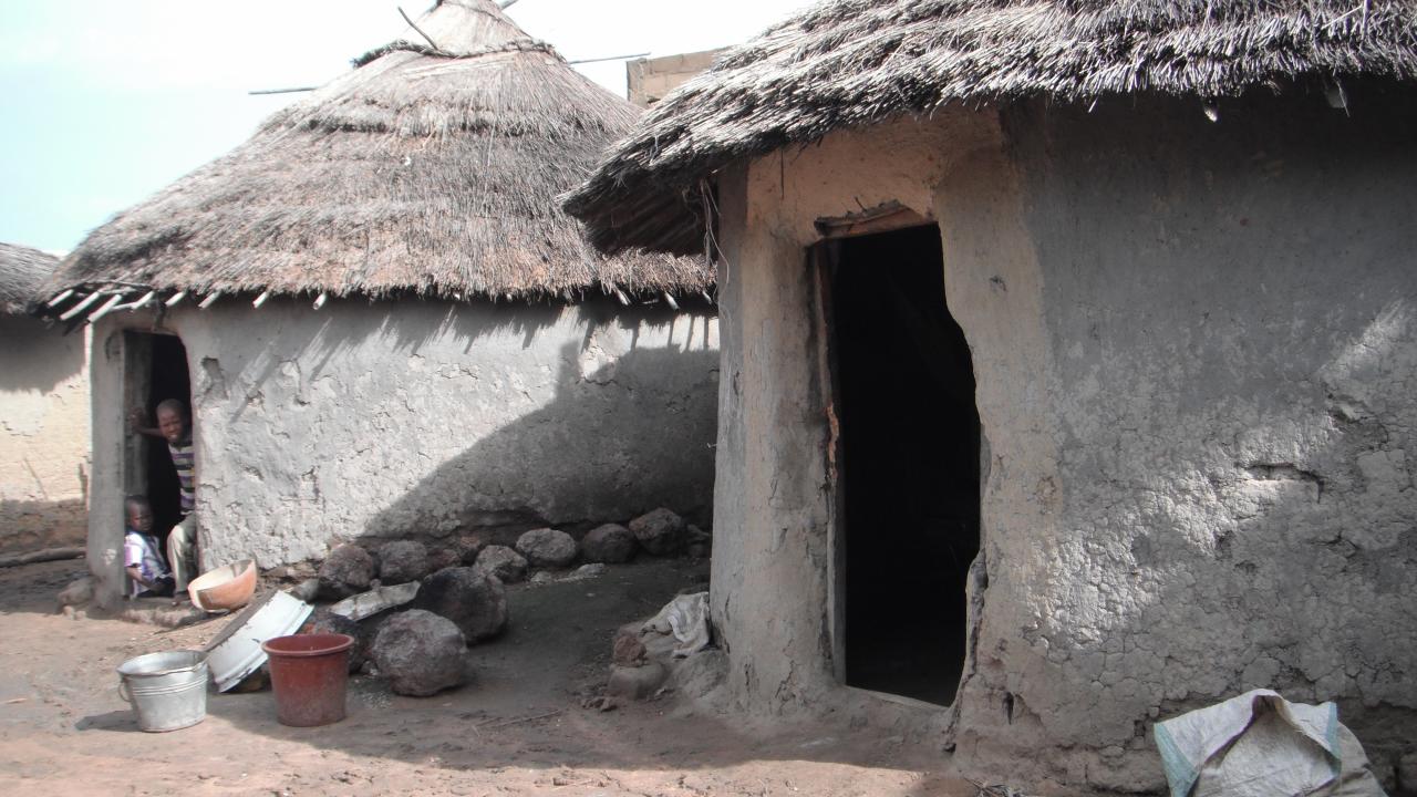 Local homes