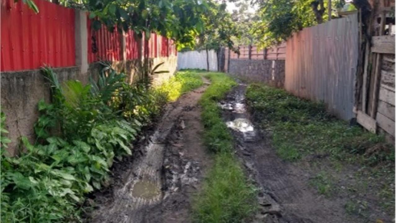 Muddy rutted dirt lane with puddles between red metal and wooden fences, leafy trees