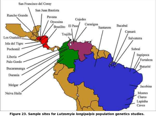 Lu longipalpis collection sites in South America