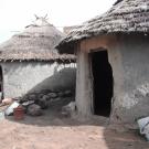 Local homes
