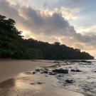 A beach at sunset with a tree covered hill in the distance